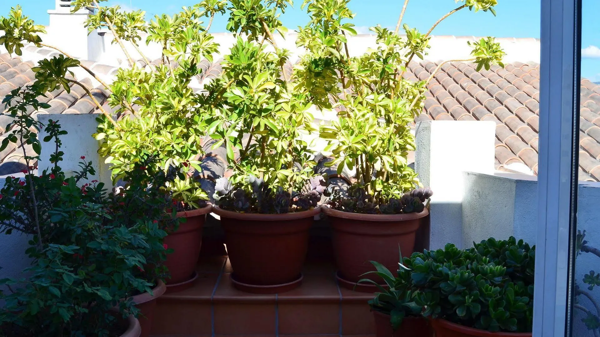Apartament Apartamentos San Pablo Malaga Hiszpania